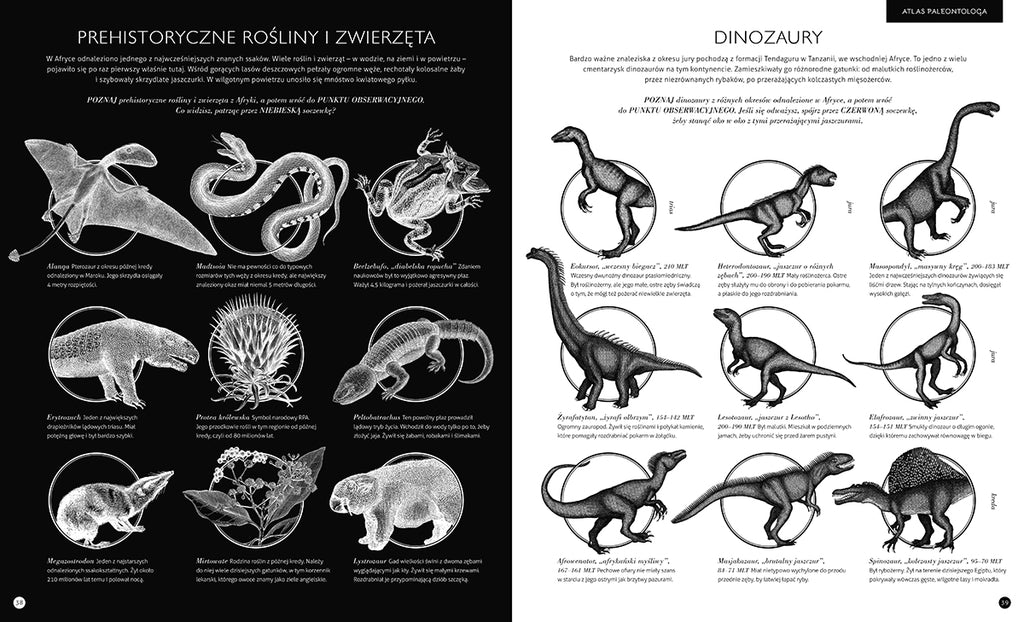Gabinet dinozaurów, Wydawnictwo Dwie Siostry
