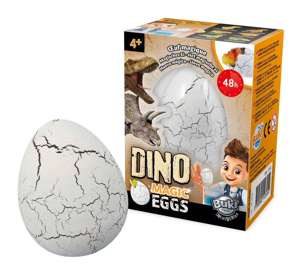 Buki, Magiczne jajko dinozaura